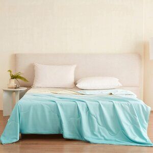 THXSILK Mulberry Silk Comforter Queen 90"x90" All-Season Luxury Gradient Mint Gr